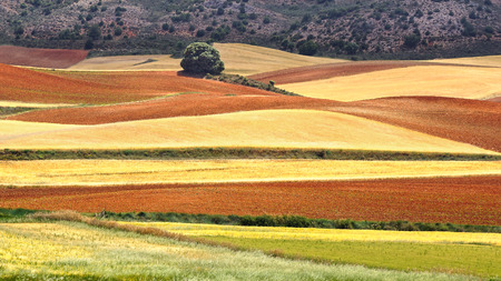 Picturesque nature rural landscape with fields. Spainの写真素材