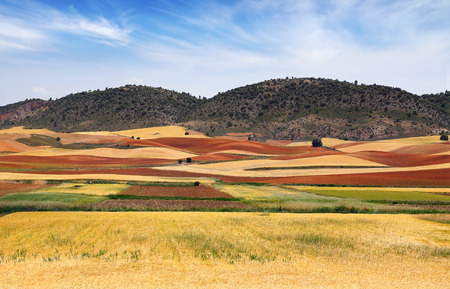 Picturesque nature rural landscape with fields. Spainの写真素材