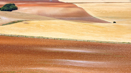 Picturesque nature rural landscape with fields. Spainの写真素材
