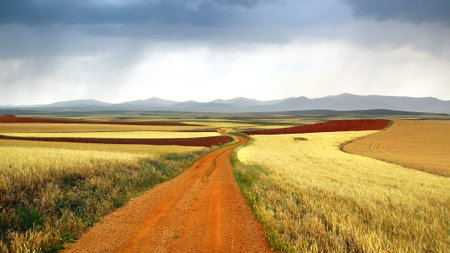 Picturesque nature rural landscape with fields. Spain