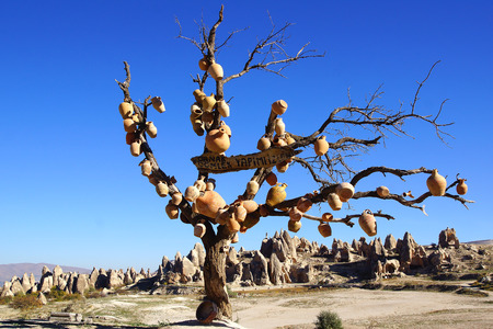 Picturesque landscape with jugs on a tree, Cappadocia in Turkey.の写真素材