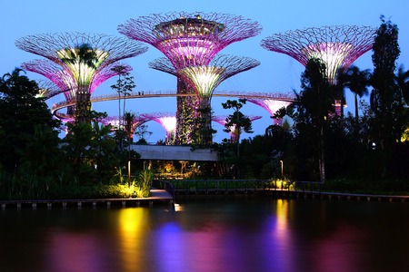 The Supertree Grove at Gardens by the Bay.のeditorial素材