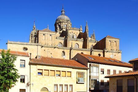 New Cathedral of Salamanca, Spainの写真素材