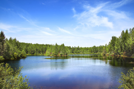 The beautiful landscape with forest and lake.の写真素材