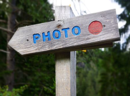 The rustic wooden sign - Photo in a forest.の写真素材