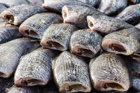 fish on the bamboo grid in the sunny dayの写真素材