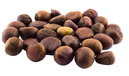 Chestnut, isolated on white backgroundの写真素材