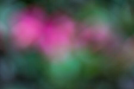 Surface blur Multicolored out of focusの写真素材