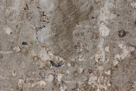 concrete wall painted texture and backgroundの写真素材