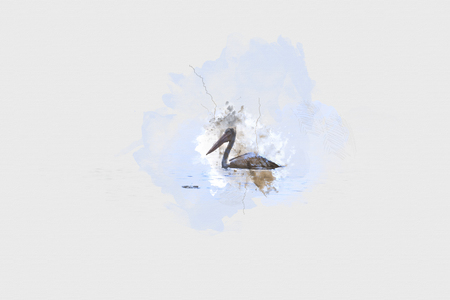 Bird on river close up watercolor background, Birdの写真素材