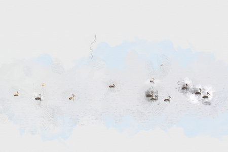 Bird on river close up watercolor background, Birdの写真素材