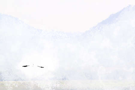 Bird on watercolor background, Watercolor painting, Bird,の写真素材