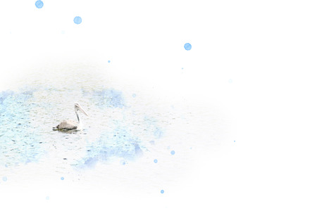 Bird on river close up watercolor background, Birdの写真素材