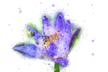 Abstract Lotus on water, Lotus on watercolor background, Watercolor paintingの写真素材
