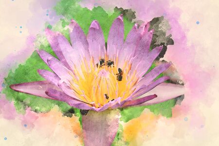 Abstract Lotus on water, Lotus on watercolor background, Watercolor paintingの写真素材