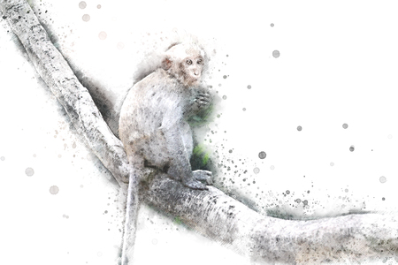 Abstract Monkey on watercolor background, Watercolor painting, Monkeyの写真素材