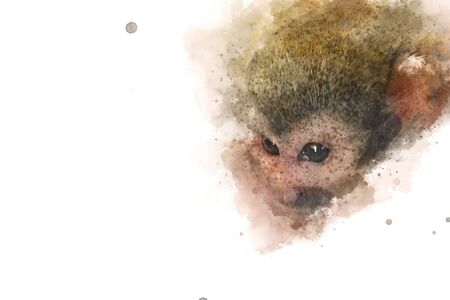 Abstract Monkey on watercolor background, Watercolor painting, Monkeyの写真素材