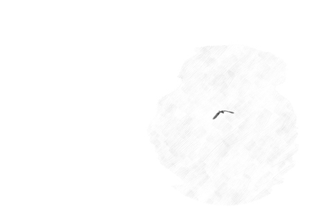 Bird on watercolor backgroundの写真素材