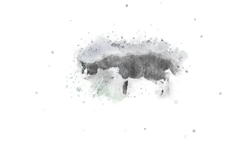 Cat on watercolor background.の写真素材