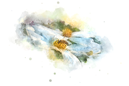 Abstract Flower on watercolor background, Flower painting, Flowerの写真素材