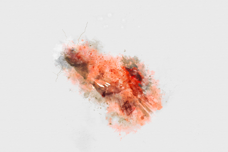 Watercolor painting fish, Abstract fish on watercolor background, Watercolor brushの写真素材