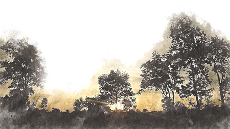 Tree and sunlight in morning on watercolor background.の写真素材