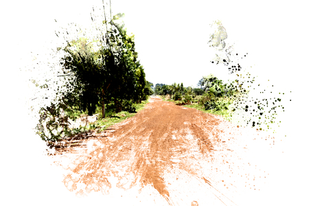 Tree and road in nature on watercolor painting backgroundの写真素材