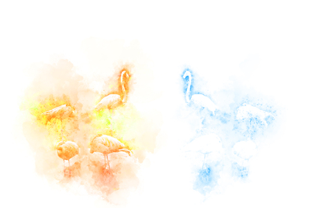 Abstract Flamingo on watercolor background, Watercolor painting, Flamingoの写真素材