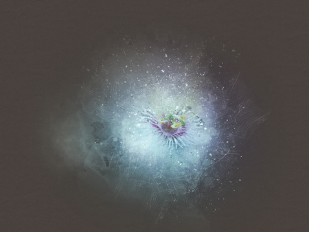 Abstract Flower on watercolor background, digital watercolor paintingの写真素材