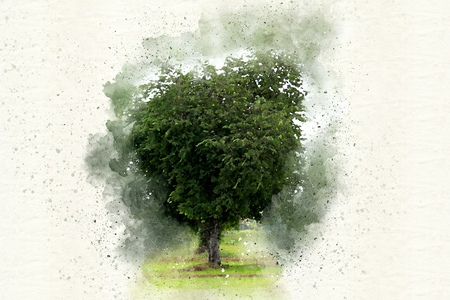 Abstract Colorful tree watercolor painting texture background and Digital illustration brush to art.の写真素材