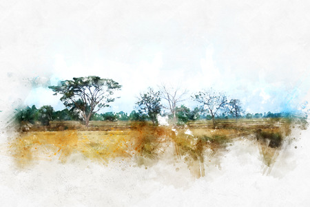 Abstract tree and field landscape watercolor painting background.の写真素材