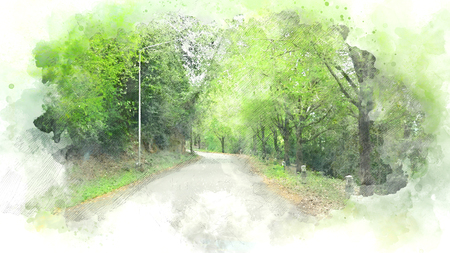 Abstract colorful tree and road on watecolor painting background.の写真素材