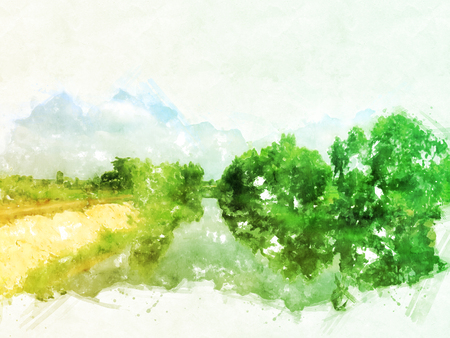 Abstract colorful tree and field landscape on watercolor illustration painting background.の写真素材