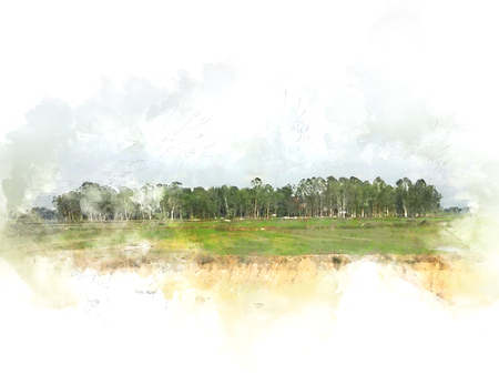 Abstract colorful tree and field landscape on watercolor illustration painting background.の写真素材