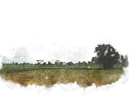 Abstract tree and field landscape on watercolor illustration painting background.の写真素材