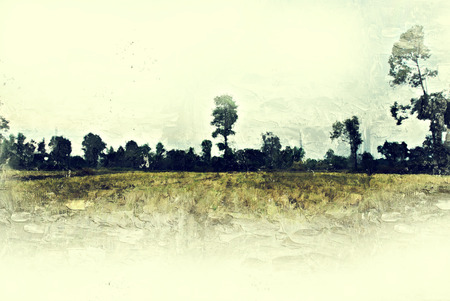 Abstract Colorful tree and landscape tree on watercolor painting backgroundの写真素材