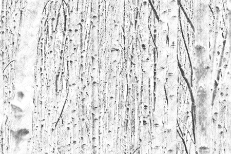 abstract trunk tree watercolor illustration painting background.の写真素材