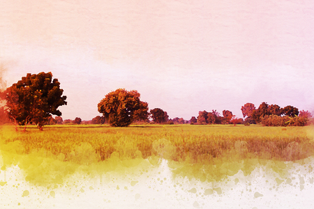 Abstract beautiful tree and landscape on colorful watercolor painting background.の写真素材