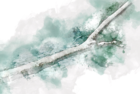 Abstract colorful trunk tree in forest on watercolor illustration painting background.の写真素材