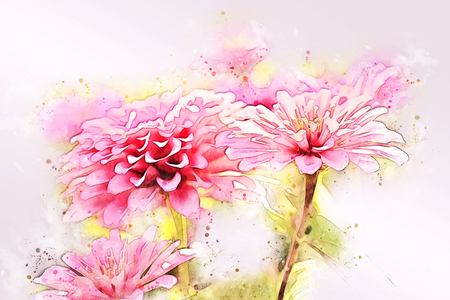Abstract colorful flower blooming watercolor illustration painting background.の写真素材