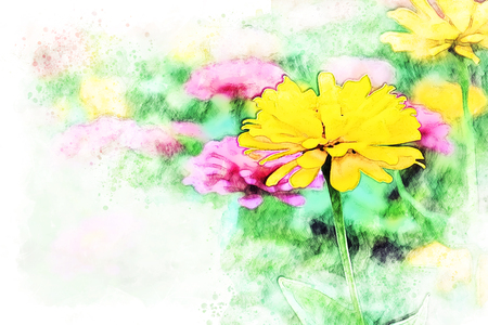 Abstract colorful flower blooming watercolor illustration painting background.の写真素材