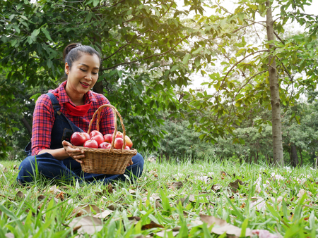 Beautiful senior woman smile portrait and holding red apple in garden.の写真素材