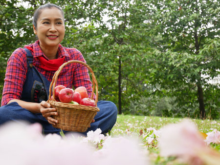 Beautiful senior woman smile portrait and holding red apple in garden.の写真素材