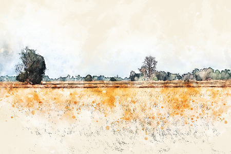 Abstract colorful tree landscape and field on watercolor illustration painting background.の写真素材