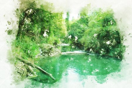 Abstract colorful green shape branch tree in the forest on watercolor illustration painting background.の写真素材