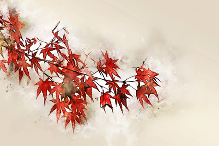 Abstract colorful branch tree on watercolor illustration painting background.