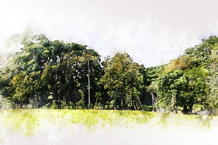 Abstract colorful branch tree at garden park on watercolor illustration painting background.の写真素材