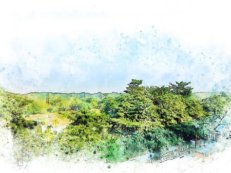 Abstract colorful branch tree at garden park on watercolor illustration painting background.の写真素材