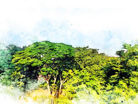 Abstract colorful branch tree at garden park on watercolor illustration painting background.の写真素材