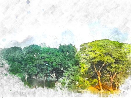 Abstract colorful tree landscape on watercolor illustration painting background.の写真素材